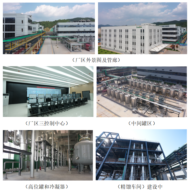 全发国际(集团)有限公司官网