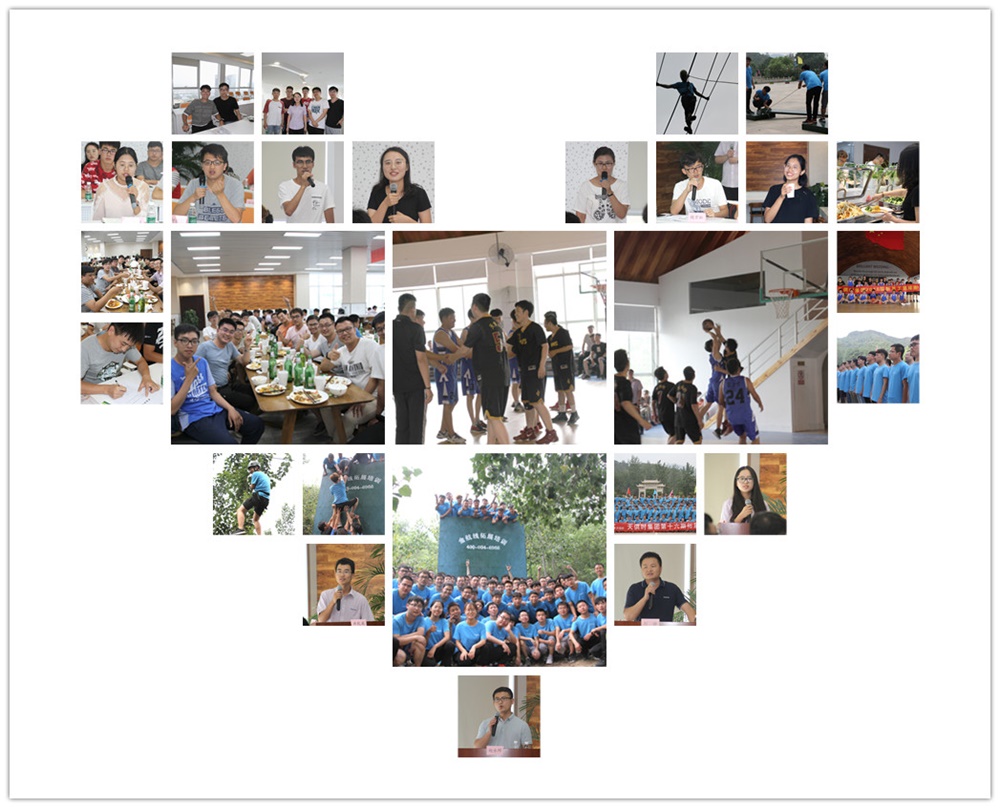 全发国际(集团)有限公司官网